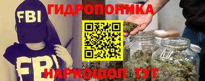 сатива Комсомольск-на-Амуре