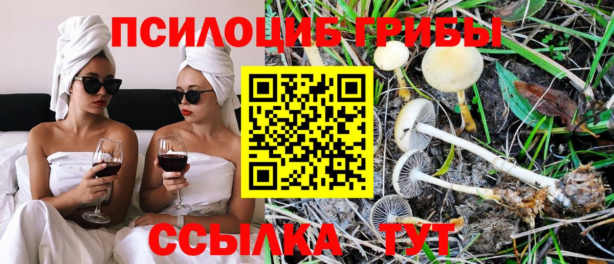 Галлюциногенные грибы Psilocybe  Вход с VPN  Кисловодск  Псилоцибиновые грибы Cubensis 