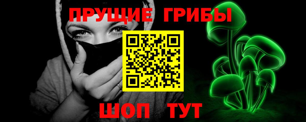 Галлюциногенные грибы Magic Shrooms Кисловодск